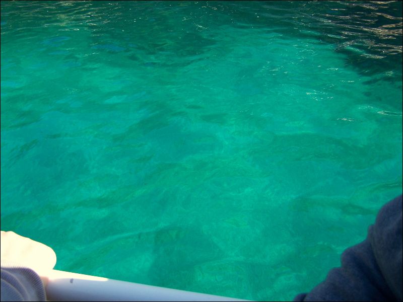 gal/Saison 2012/Cassis_et_ses_merveilleuses_calanques/105_5025.JPG